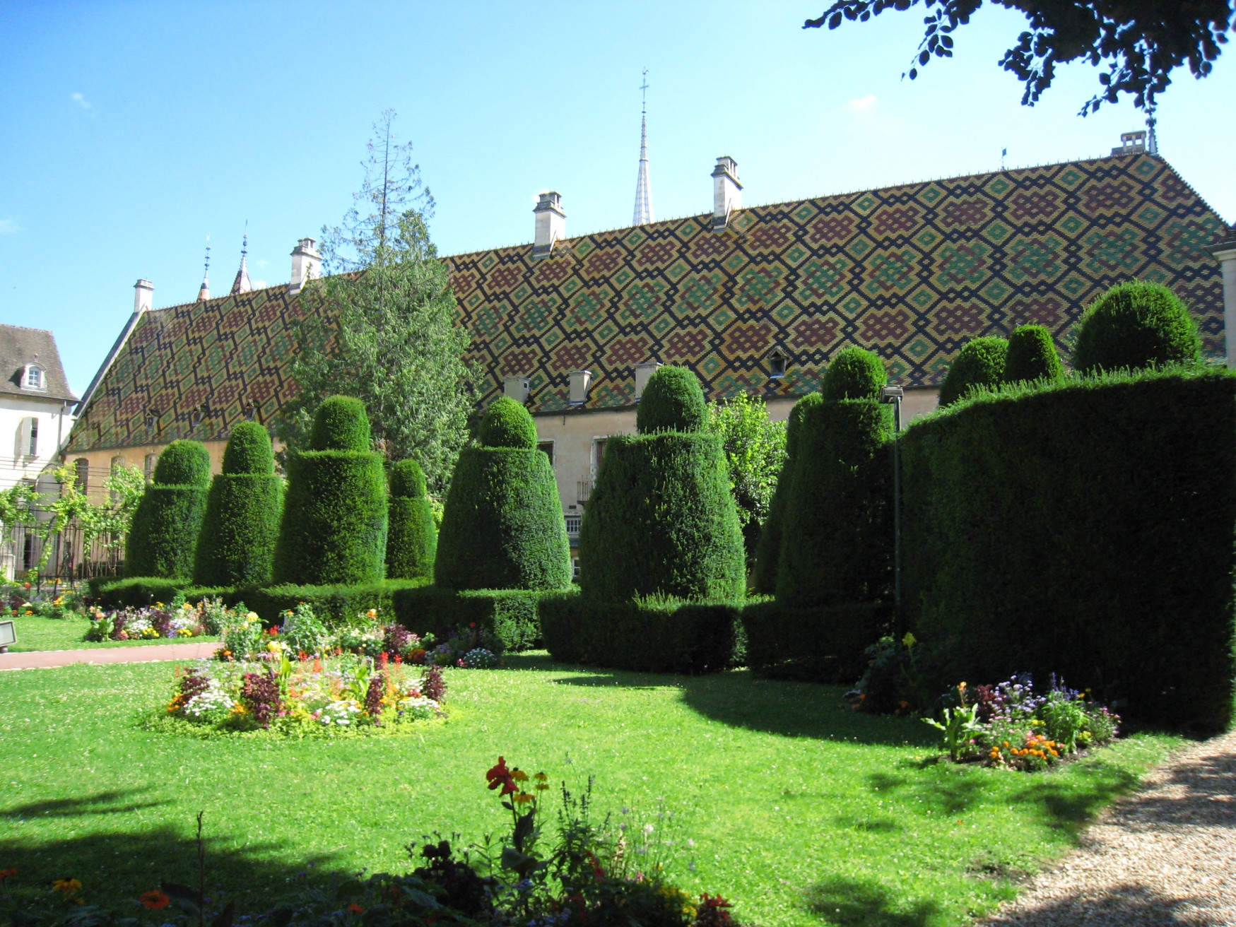 Растения в Боне, Франция – фотографии Франции