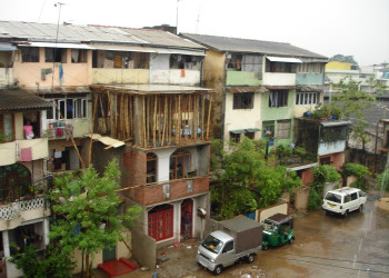 Шри-Ланка, фото № 1163 – фотографии Шри-Ланки