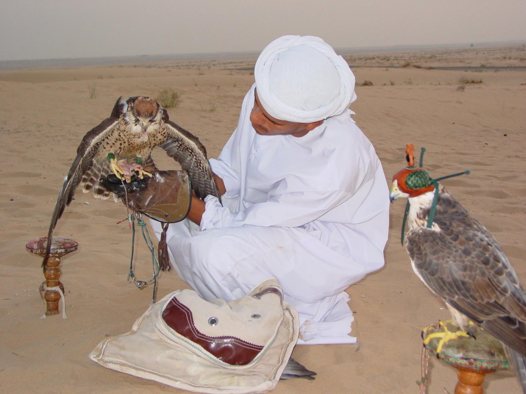 ОАЭ, фото № 1596 – фотографии ОАЭ