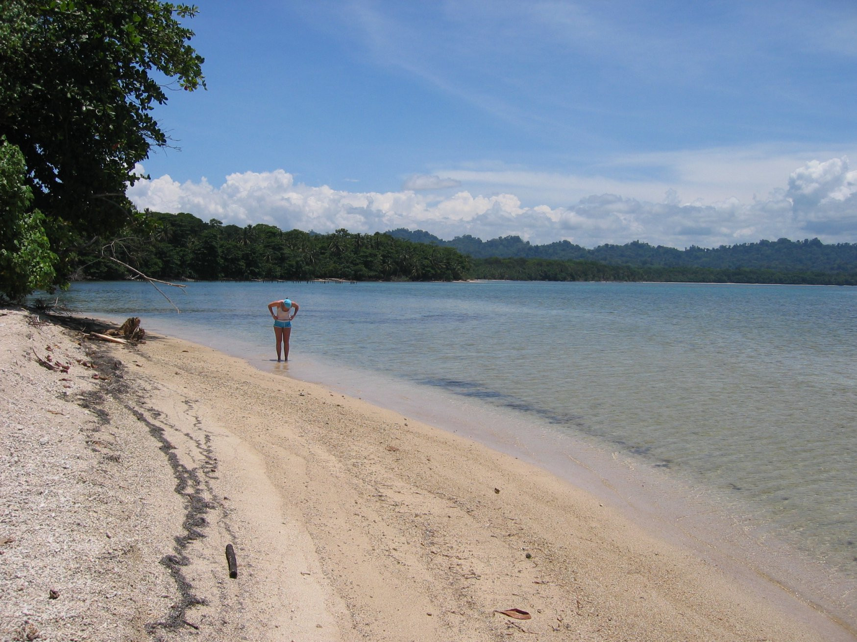 Кауита, Лимон провинция, Коста-Рика, фото № 40030 – фотографии Коста-Рики