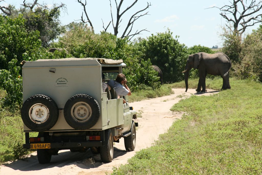 Сафари в Замбии – фотографии Замбии