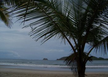 Плайя Карильо, Гуанакасте провинция, Коста-Рика, фото № 39529 – фотографии Коста-Рики