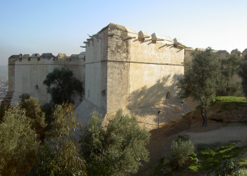 Фес, Марокко, фото № 8571 – фотографии Марокко