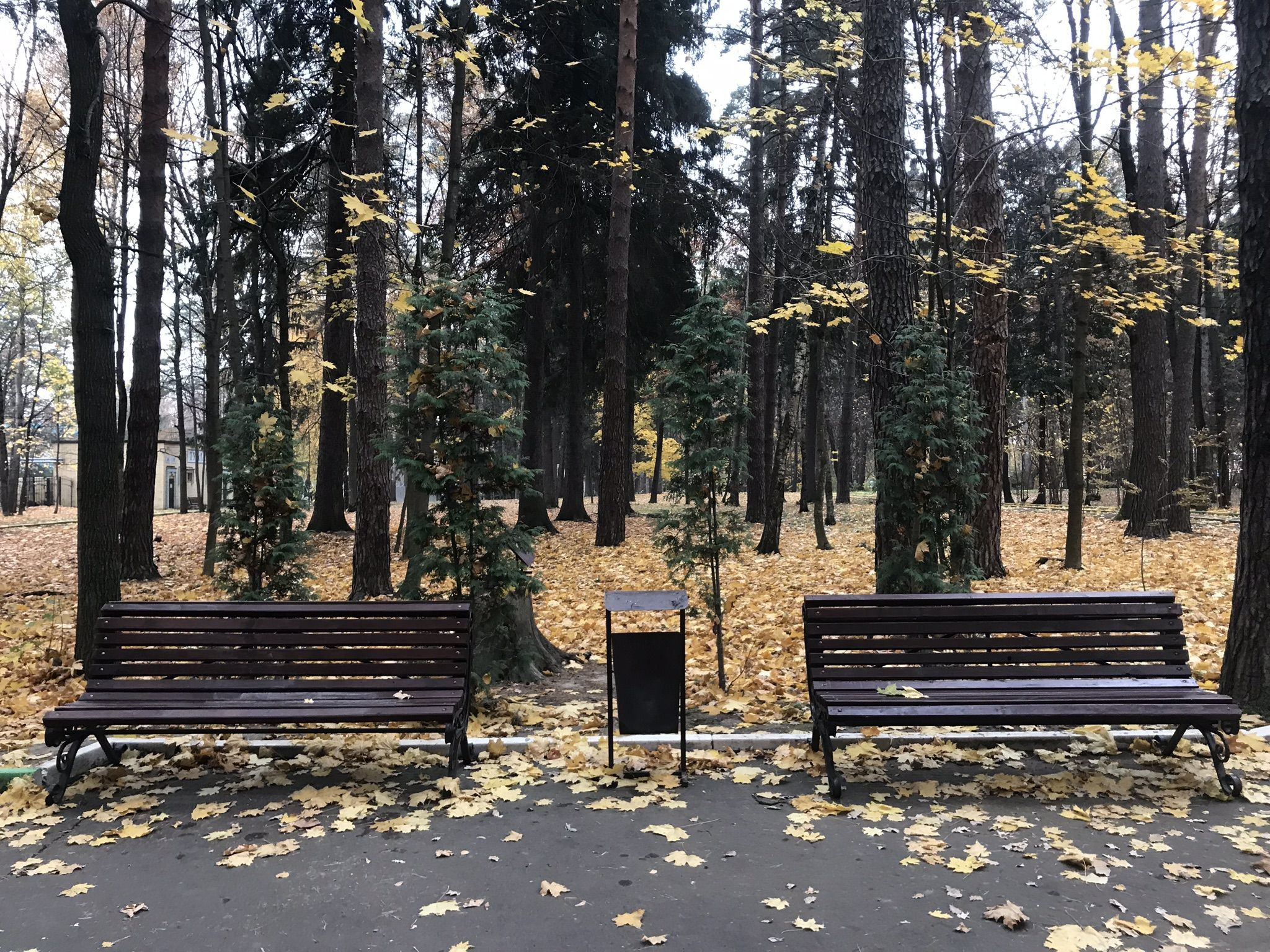 Скамейки в Обнинске осенью – фотографии России