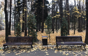 Скамейки в Обнинске осенью – фотографии России