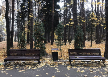 Скамейки в Обнинске осенью – фотографии России