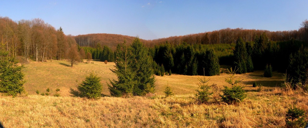 Бюкк Национальный Парк, Венгрия, фото № 70074 – фотографии Венгрии