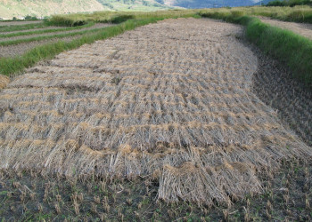 Бутан, фото № 4720 – фотографии Бутана