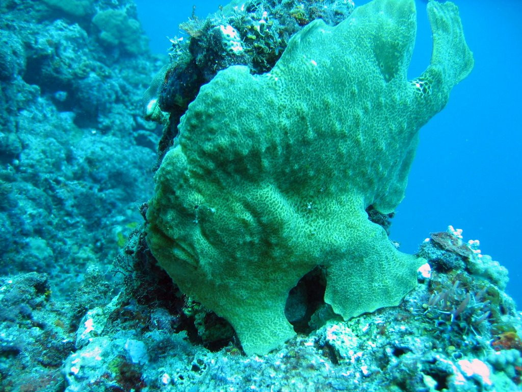 Тихоокеанское государство Вануату (Vanuatu). Фото 9 – фотографии Вануату