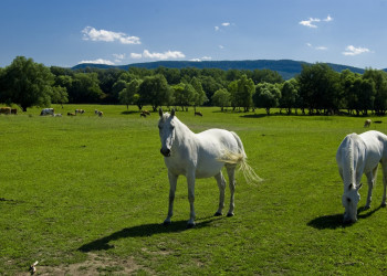 Венгрия, фото № 3711 – фотографии Венгрии
