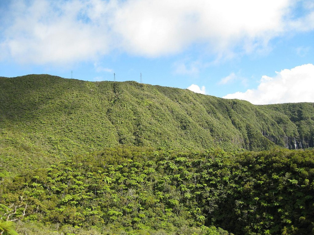 Плень-де-Палмист, Реюньон, фото № 25652 – фотографии Реюньона