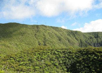 Плень-де-Палмист, Реюньон, фото № 25652 – фотографии Реюньона