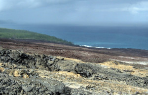 Лавовый холм в Сен-Филипп (Saint-Philippe) на юго-востоке острова – фотографии Реюньона