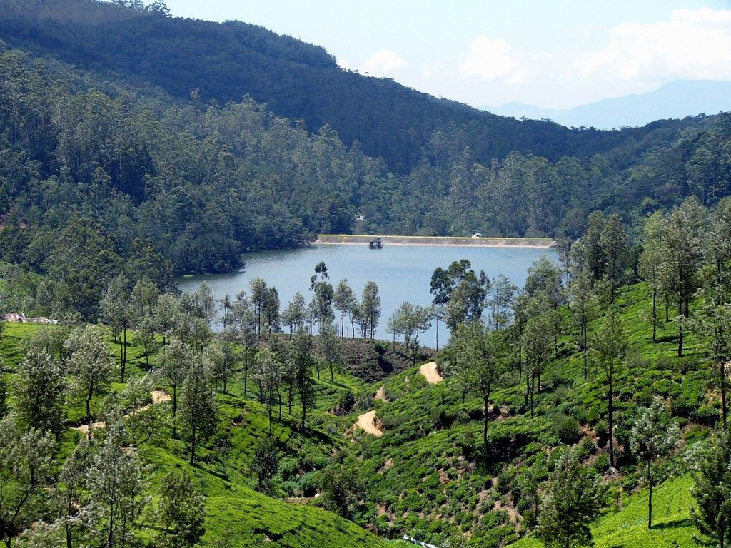 Нувара Элия, Шри-Ланка, фото № 52091 – фотографии Шри-Ланки