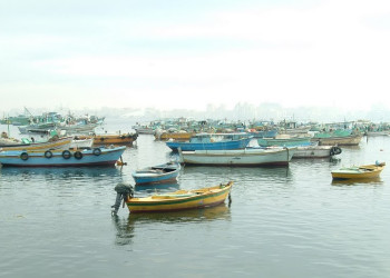 Александрия, Египет, фото № 70380 – фотографии Египта