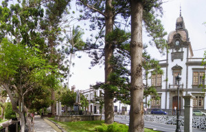 Город Арукас (Arucas) – фотографии Канарских островов