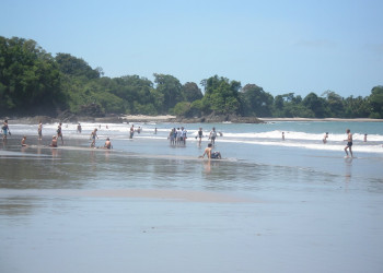 Мануэль Антонио, Пунтаренас провинция, Коста-Рика, фото № 40627 – фотографии Коста-Рики