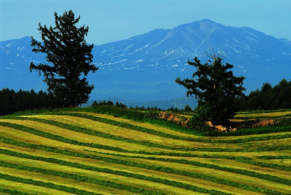 Хоккайдо остров, Хоккайдо регион, Япония, фото № 72733 – фотографии Японии