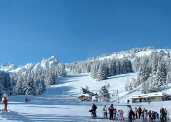 Природа в Куршавеле, Франция. Фото 5 – фотографии Франции