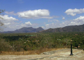 Дамбулла, Шри-Ланка, фото № 51045 – фотографии Шри-Ланки