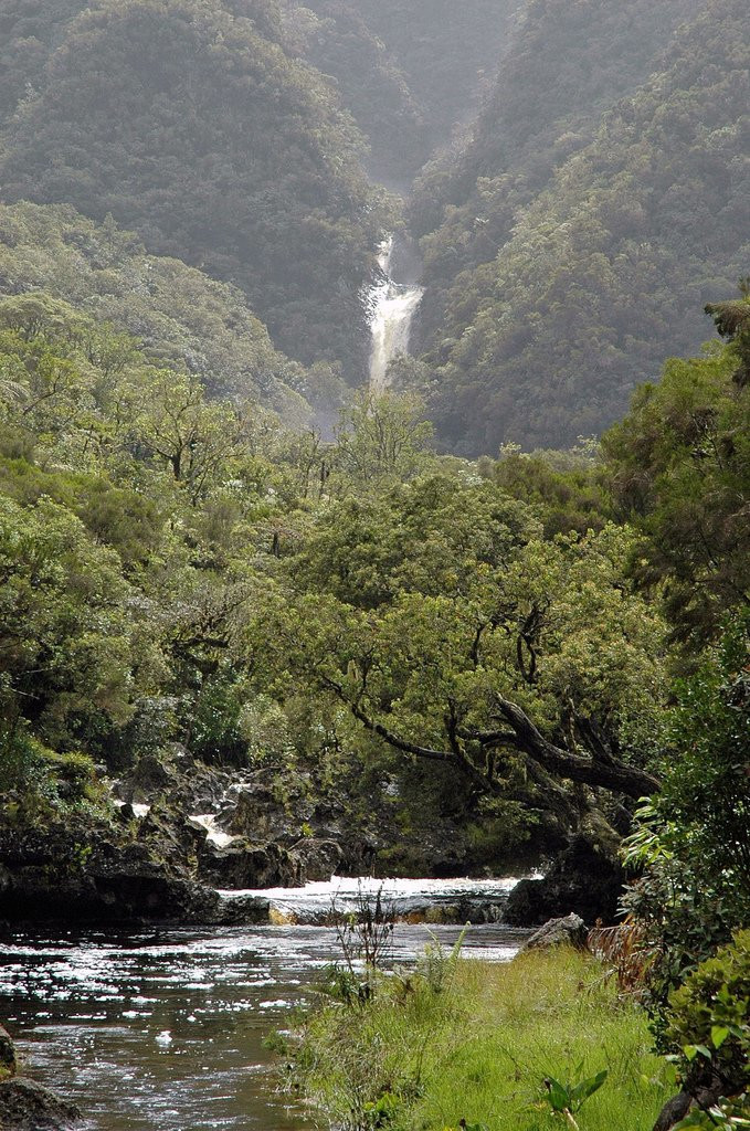Плень-де-Палмист, Реюньон, фото № 25648 – фотографии Реюньона