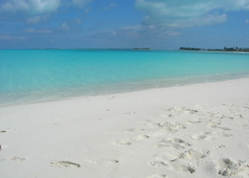 Пляж на острове Абако, Багамские острова. Фото 8 – фотографии Багамских островов