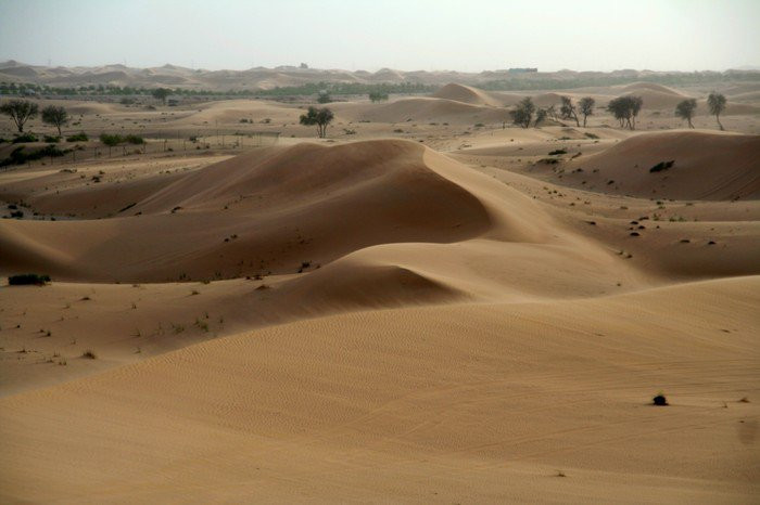 ОАЭ, фото № 1580 – фотографии ОАЭ