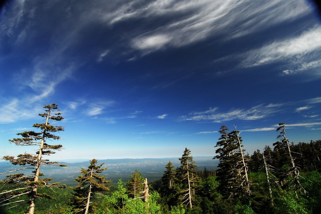 Хоккайдо остров, Хоккайдо регион, Япония, фото № 72724 – фотографии Японии