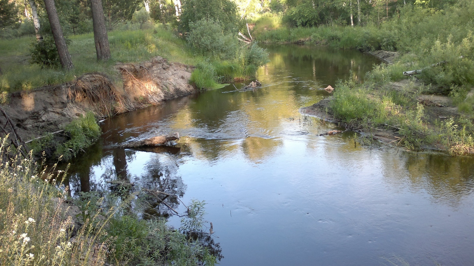 алтай – фотографии России