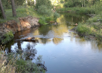 алтай – фотографии России