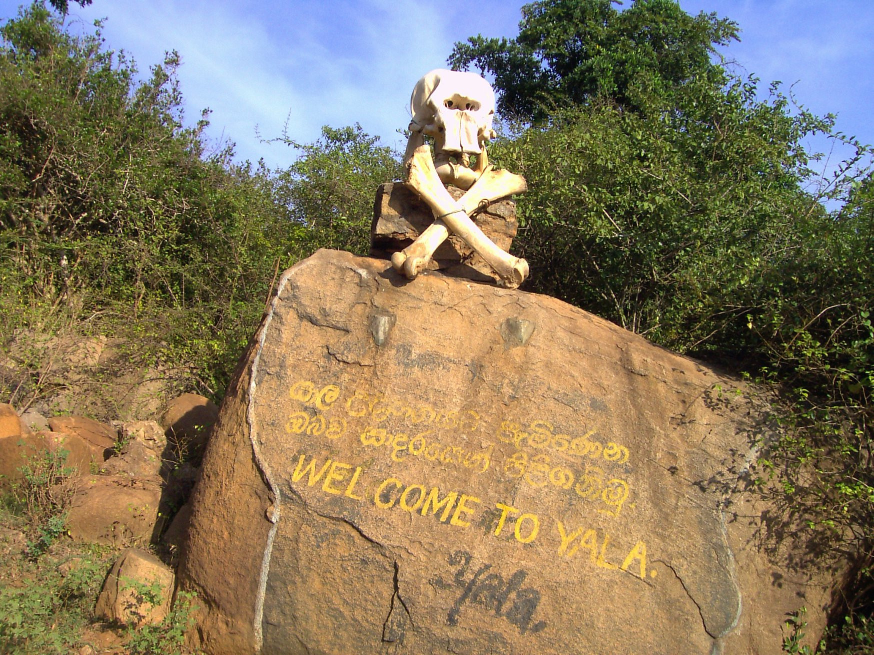 Яла Национальный Парк, Шри-Ланка, фото № 52602 – фотографии Шри-Ланки