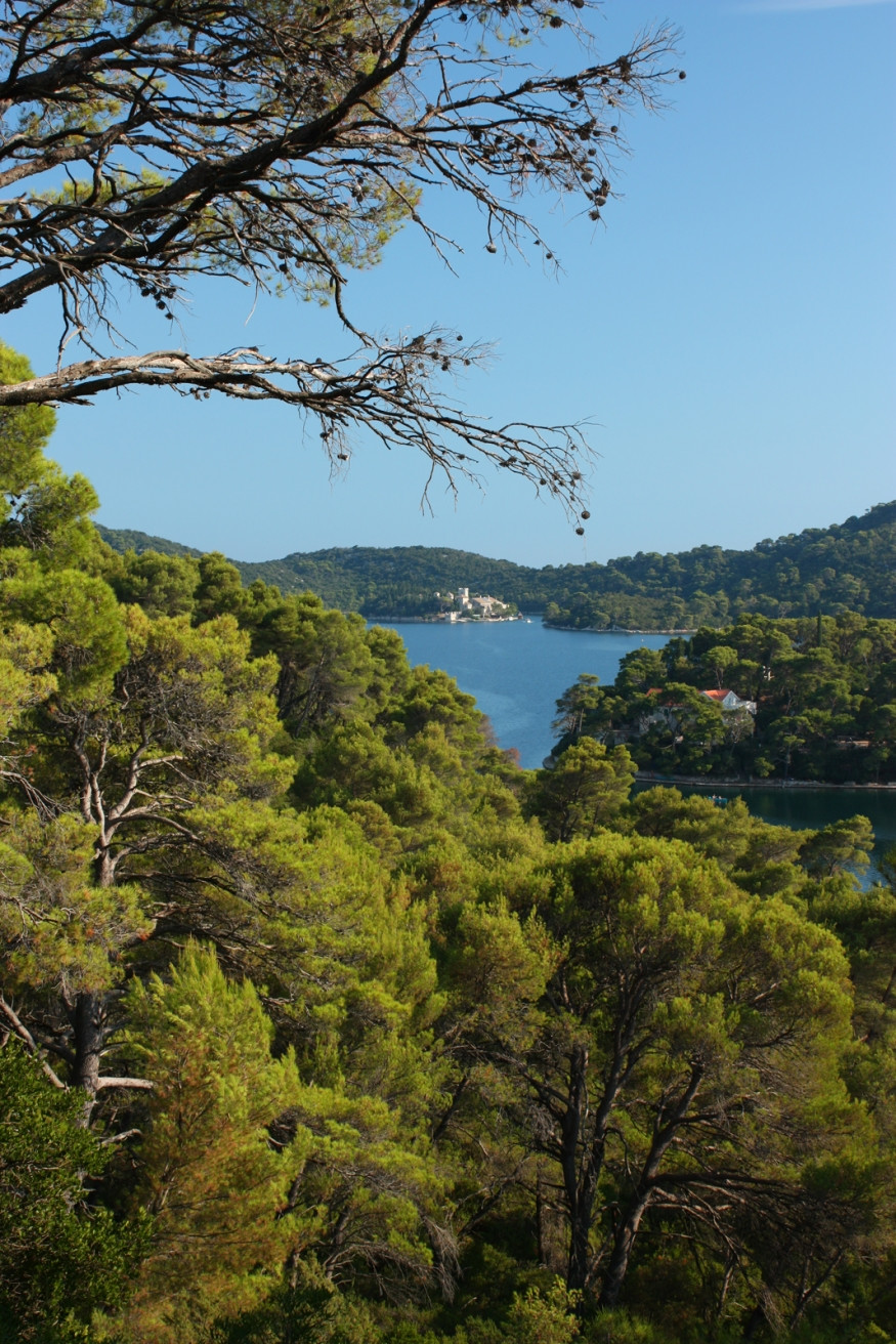 Природа Национального парка, Хорватия. Фото 6 – фотографии Хорватии