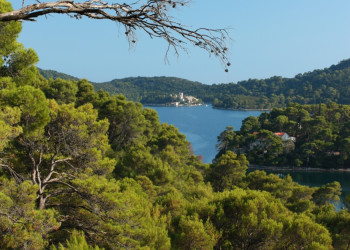 Природа Национального парка, Хорватия. Фото 6 – фотографии Хорватии