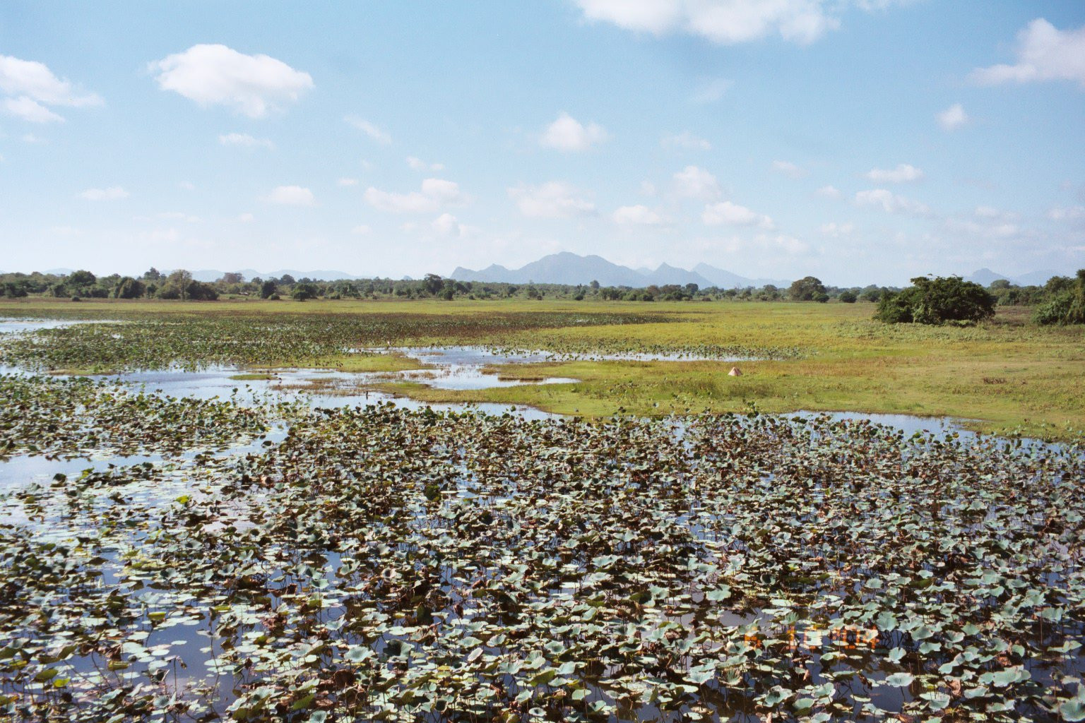 Сигирия, Шри-Ланка, фото № 52252 – фотографии Шри-Ланки