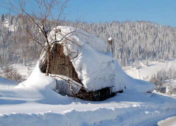 Природа в Шерегеш, Россия – фотографии России