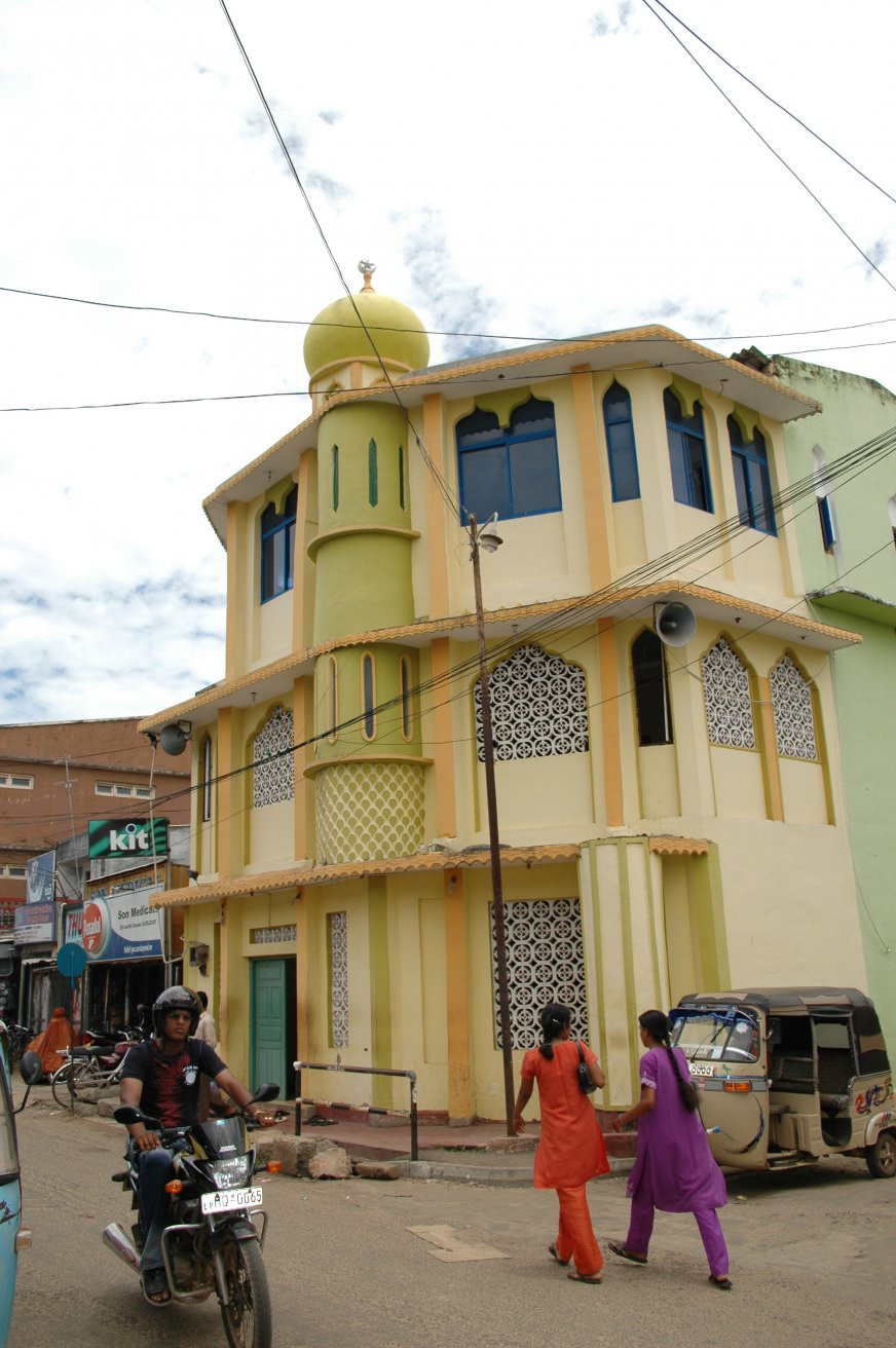 Тринкомали, Шри-Ланка, фото № 52443 – фотографии Шри-Ланки