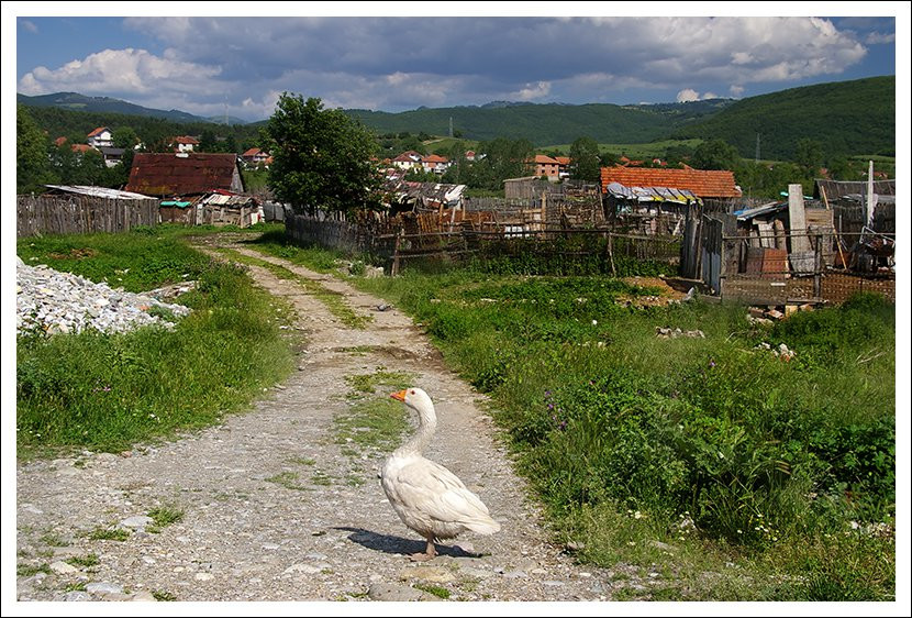 Деревня в Беране, Черногория. Фото 2 – фотографии Черногории
