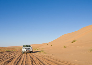 Вахиба Сэндс, Оман, фото № 77977 – фотографии Омана