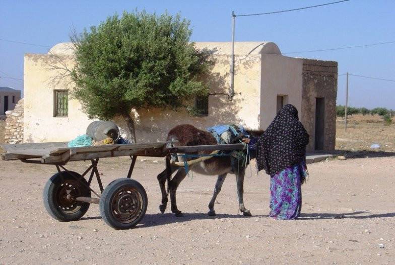 Древний город. Тунис – фотографии Туниса