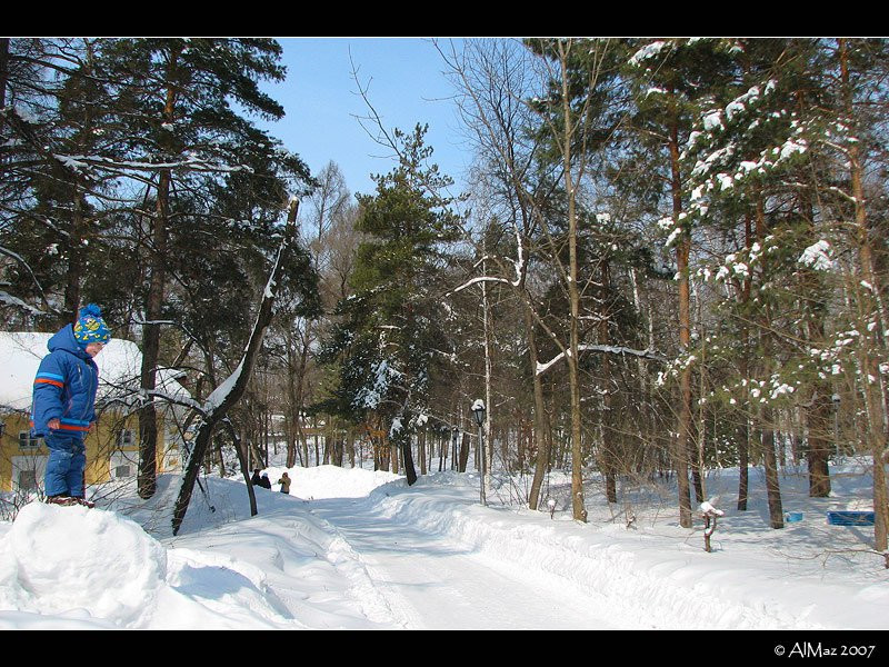Зима в Шмаковке, Россия – фотографии России