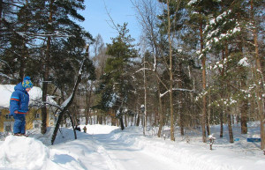 Зима в Шмаковке, Россия – фотографии России