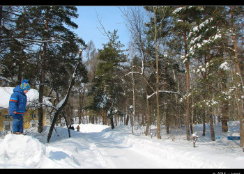Зима в Шмаковке, Россия – фотографии России