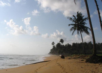 Калутара, Шри-Ланка, фото № 51236 – фотографии Шри-Ланки