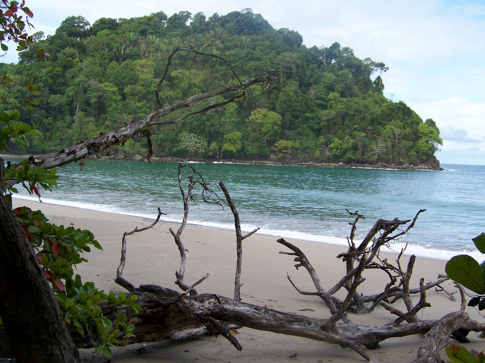 Мануэль Антонио Национальный Парк, Пунтаренас провинция, Коста-Рика, фото № 40696 – фотографии Коста-Рики