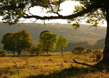 Бюкк Национальный Парк, Венгрия, фото № 70067 – фотографии Венгрии