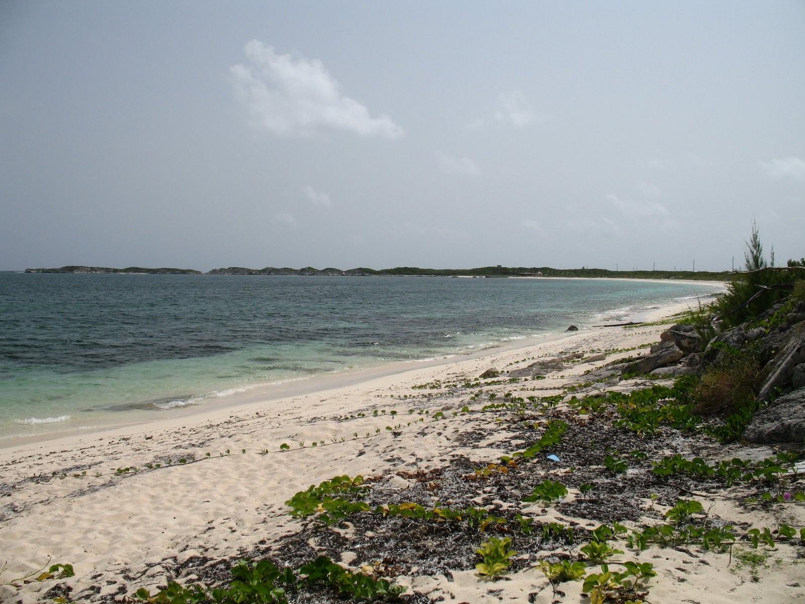 Берег острова Сан-Сальвадор, Багамские острова. Фото 14 – фотографии Багамских островов