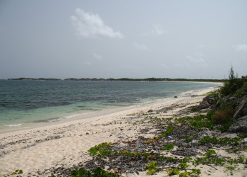 Берег острова Сан-Сальвадор, Багамские острова. Фото 14 – фотографии Багамских островов