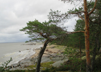 Берег на острове Кий, Россия. Фото 5 – фотографии России