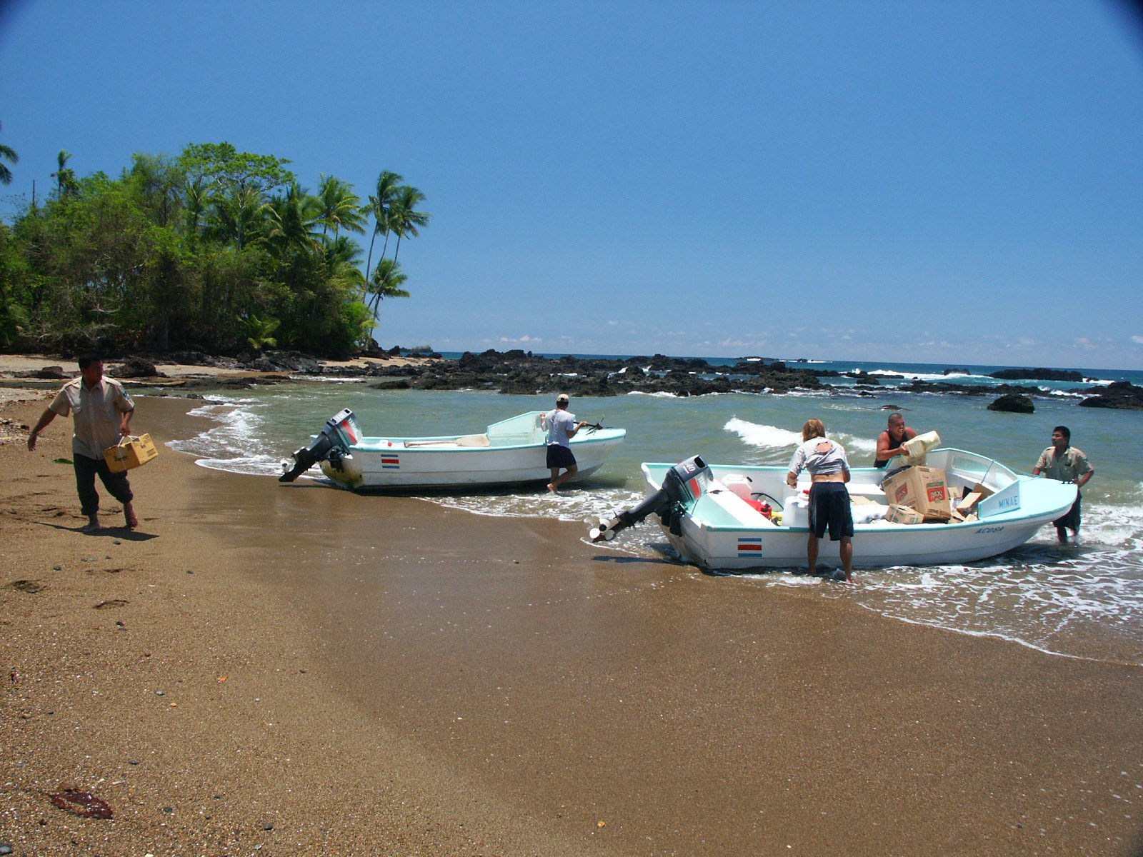 Корковадо Национальный Парк, Пунтаренас провинция, Коста-Рика, фото № 40537 – фотографии Коста-Рики