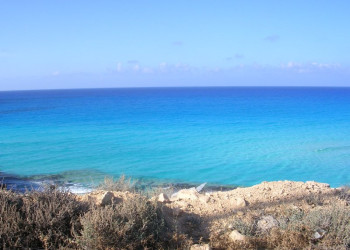 Египет, фото № 583 – фотографии Египта